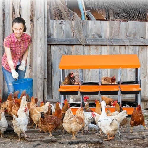 Chicken Nesting Boxes (46.3"L x 17.3"W x 10.6"H / Orange)