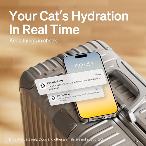 Cat Water Fountain (1 Fountain)