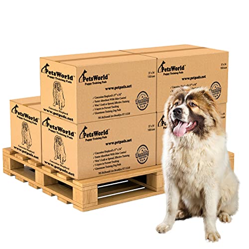 Enormous Dog Pee Pads 37"x54" 600 Count (37x54 Unscented / 600 Count)