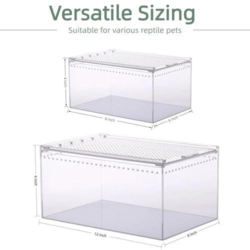 Small Tarantula Enclosure 8×6×4" (A-S(8x6x4in))