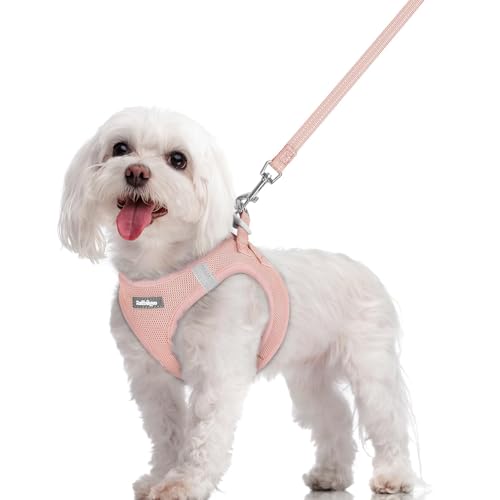 Dog Harness Medium Sized and Leash Set (Pink / M (chest: 16 - 18.5"))