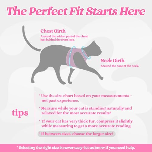 Cat Harness and Leash Set (M / Pink)