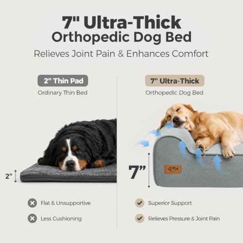 XXL 35D Memory Foam Dog Bed for Extra Large Dogs (XX-Large / Light Blue)