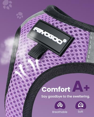 Cat Harness and Leash Set (Modern Violet / XL(Chest 14-16"))