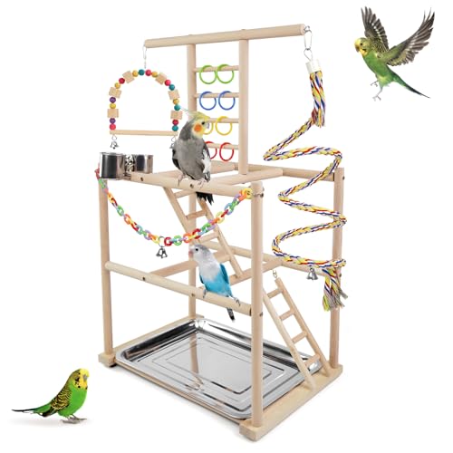 Bird Playground
