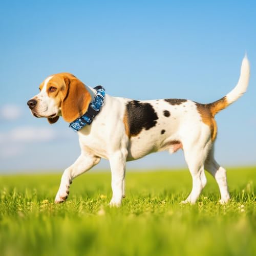 Tactical Dog Collar (Basic Red - Handle Style / M: Neck 14.5" to 18")