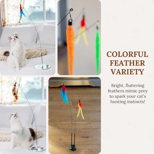Cat Toys for Indoor Cats (Meow Motion Bundle)