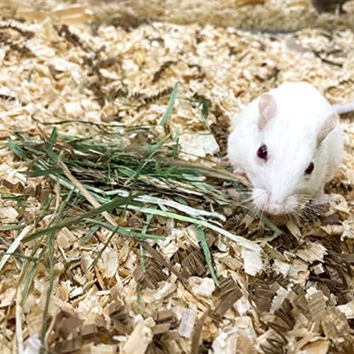 Timothy Hay for Small Pets (1.5 Pound (Pack of 1))