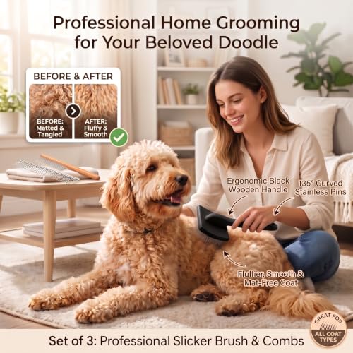 Slicker Brush for Dog (Large / Black)