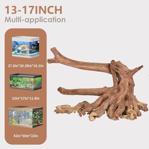 Natural Large Aquarium Driftwood for Fish Tanks & Reptile Terrariums (Mopani Driftwood 13 to 17 Inch (Pack of 1))