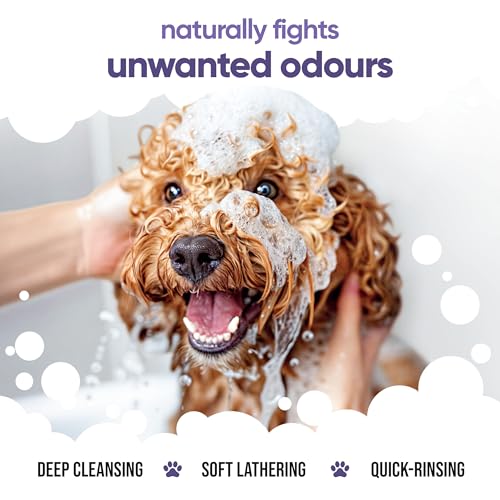 Calming & Deodorising Dog Shampoo by Buddycare (50.72oz)