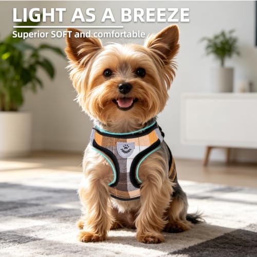 Dog Harness Collar and Leash Set No Pull for Small Medium Sized (Orange / XL (CHEST 20"-22"))