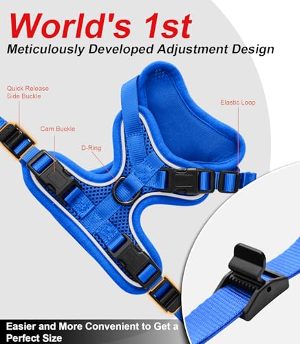 Cat Harness and Leash for Walking Escape Proof Soft Adjustable Cat Leash (Blue / S (7-12lb))