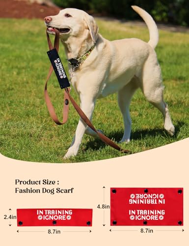 in Training Dog Leash Sleeve 2 Set
