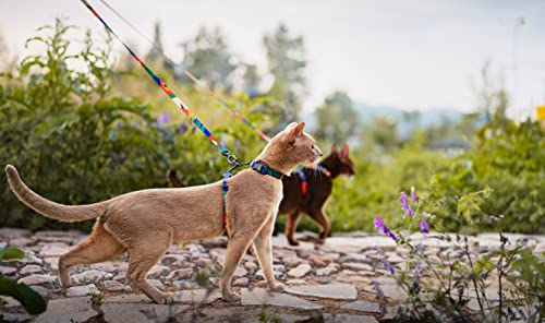 Cat Harness and Leash Set (Multicolor / Neck Girth 7.8″-12.2″, Chest Girth 10.2″-16.9″)