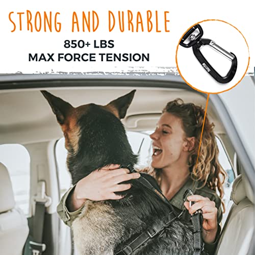 Dog Seat Belt For Car (Latch Bar Attachment)