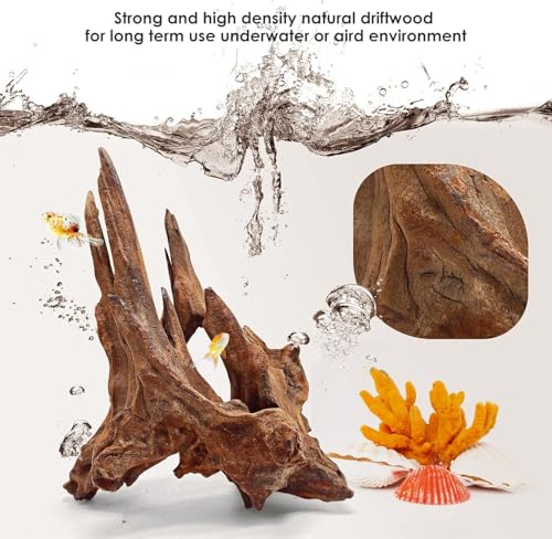 Natural Aquarium Driftwood for Fish Tank Reptile Terrariums Decor (Mopani Driftwood 7 to 11 Inch (Pack of 3))