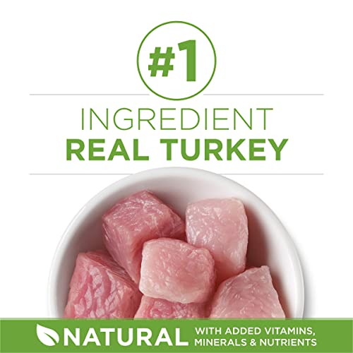 Natural Indoor Dry Cat Food (7 Pound (Pack of 1))
