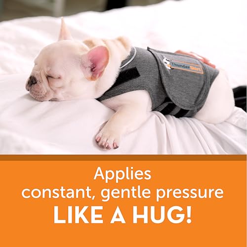 for Dogs Calming Anxiety Vest (Heather Grey / Small)