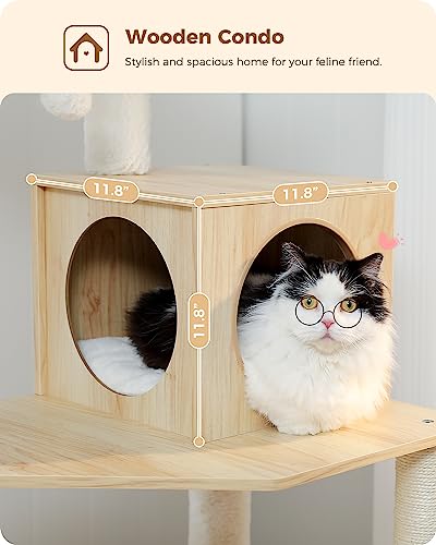 Cat Tree for Kittens