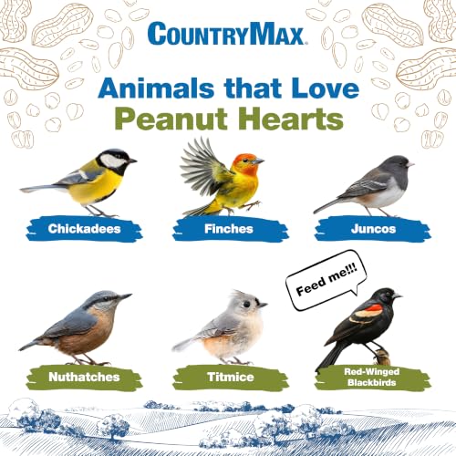 50LB Peanut Hearts for Wild Birds & Squirrels (50 Pound (Pack of 1) / Peanut Hearts)