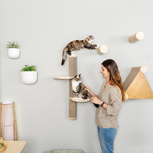 Cat Climbing Wall System (Wall Mount / Ascentials Sunrise Steps)