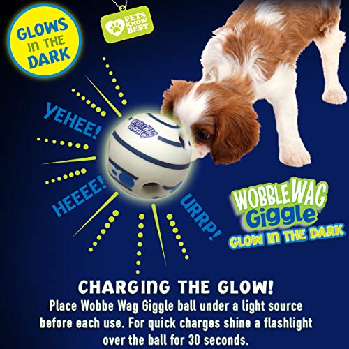 Glow in the Dark (Glow In The Dark)