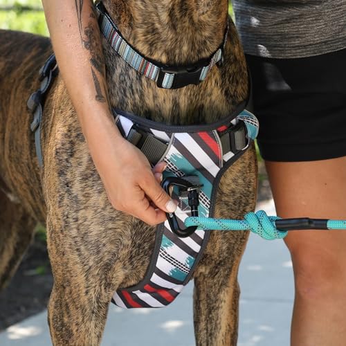 Embark No Pull Dog Harness (XL / Maverick)