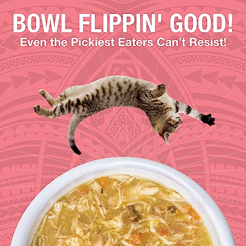 Pure Shreds Chicken and Salmon Entrée for Cats (2.8 Ounce (Pack of 24))