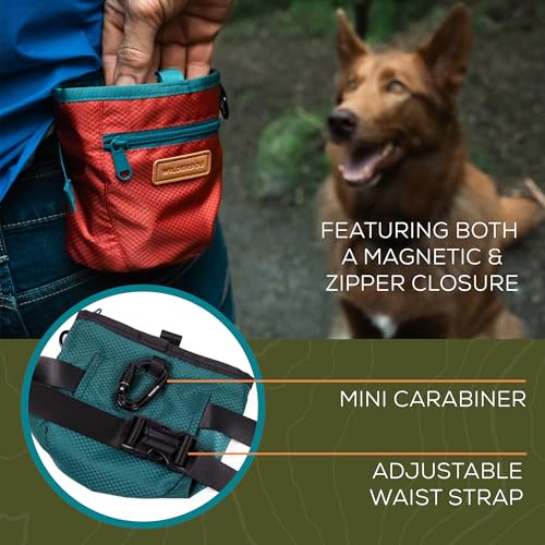 Dog Training Treat Pouch with Magnetic and Zipper Closure (Cinnabar)
