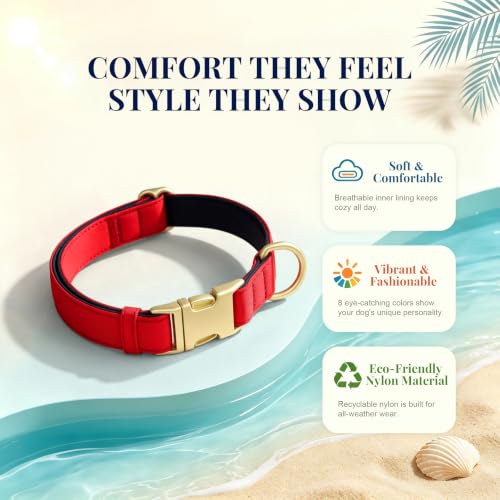 Soft Padded Dog Collar for Small Dogs (Red / S：Fit 10-15" Neck, Width ⅝")