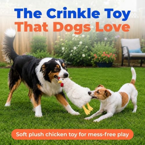 Interactive Squeaky Dog Toy (Crinkle Chicken (Beige) / Large)