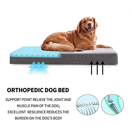 Orthopedic Memory Foam Dog Bed (Purple Grey / X-Large-41"x 29" x 4")