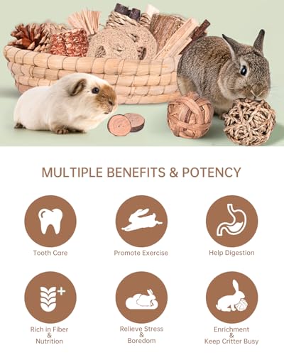 31PCS Rabbit Chew Treat Toys for Teeth Health (Chew Toys Set A)