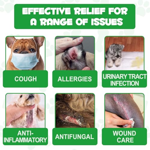 Natural Antibiotics for Dogs