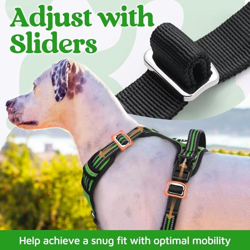 Dog Harness for Large (Green / Large)