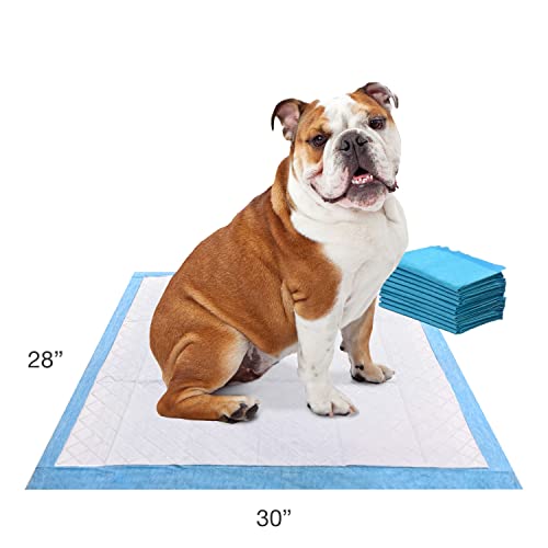 Wee Wee Odor Control Dog Pee Pads with Febreze Freshness (10 Count)