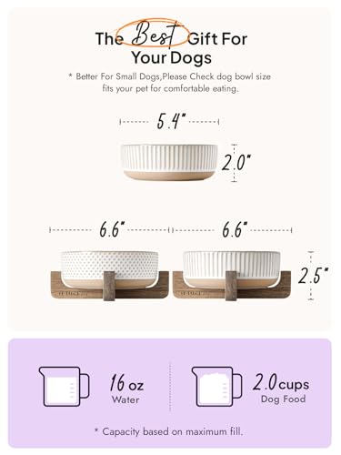 Ceramic Dog and Cat Bowl Set with Acacia Wood Stand (S-2 Cups / Lines+Dot)