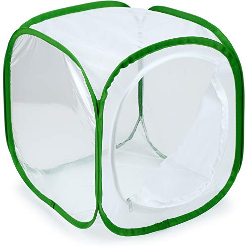 Insect and Butterfly Habitat Cage Terrarium Pop (White With Green / 12 x 12 x 12 inches)