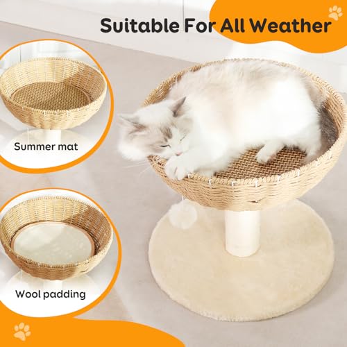 Small Cat Tree with 17.5 (4)