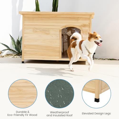 Solid Wooden Dog Crates Large Dogs Outdoor Indoor with Curtain (raw wood tone / Large)
