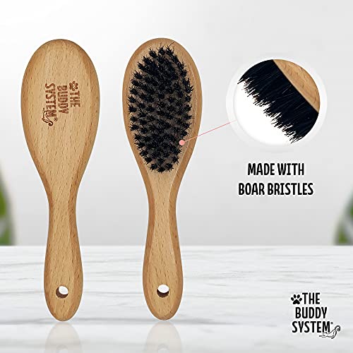 Soft Cat Brush with Boar Bristles (1 Count (Pack of 1))