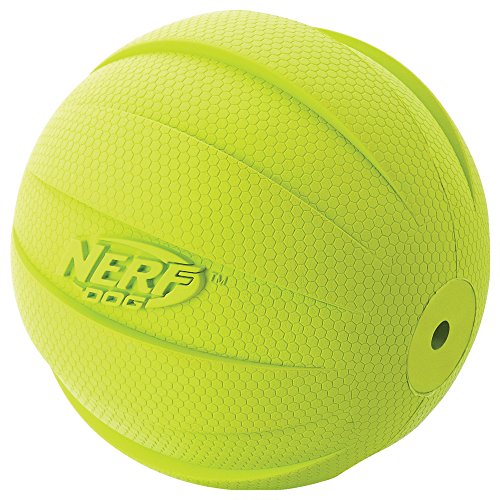 Rubber Ball Dog Toy with Squeaker (Green / 1 Count (Pack of 1) / Single)
