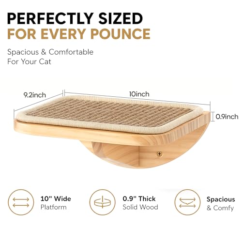 Cat Window Perches (Combo A (1 Foam-Mat Bed, 2 Steps) / Normal)