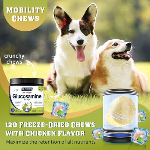 Glucosamine for Dogs