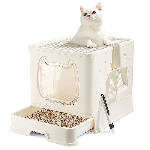 Cat Litter Box with Lid (White)