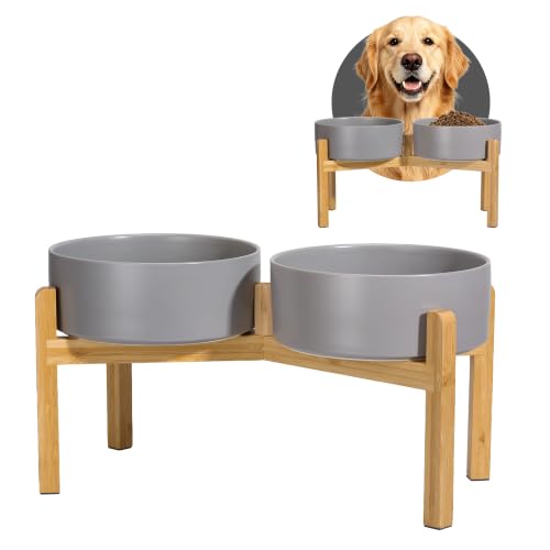Elevated Ceramic Dog Bowl Set (Dark Gray / Large)
