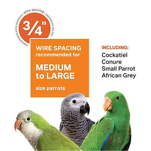 Wrought Iron Select Bird Cage Seed Guard (Sage Green / 24.0"L x 20.0"W x 60.0"H)