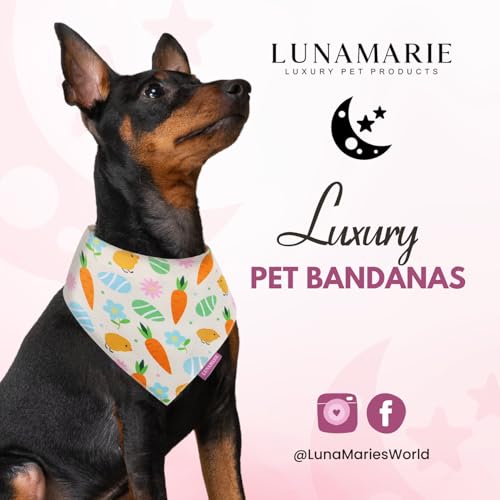 Luxury Pet Birthday Bandanas (Easter Garden / X-Small)
