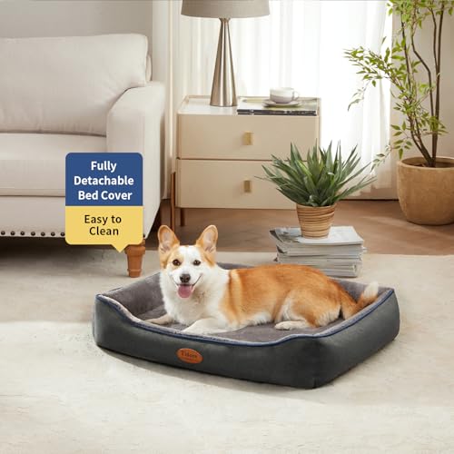 Orthopedic Dog Beds for Medium Dogs (31.5"L x 25.2"W x 7"Th / Dark Grey-Velvet)